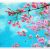Almond blossom