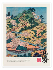 Almond Blossom Almond Blossom