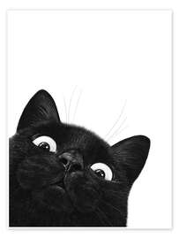 Black Cat