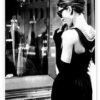 Breakfast at Tiffany's, Audrey and the Fridge