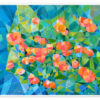 Colorful poppies
