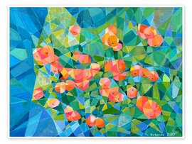 Colorful poppies