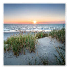 Dune Landscape on Sylt Dune Landscape on Sylt