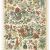 Flowers I (French)