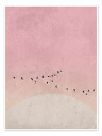 Fly Away Fly Away