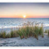 Footsteps in the sand II