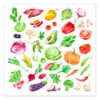 Herbs and spices (german)
