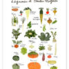 Herbs and spices (german)