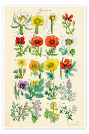 Herbs and spices (german) Herbs and spices (german)