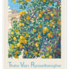 Lemon Trees in La Mortola, 1921