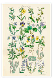 Medicinal and culinary herbs (German) Medicinal and culinary herbs (German)