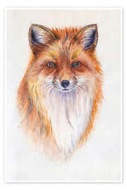 Morning Fox