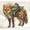 Morning Fox