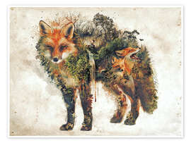 Morning Fox