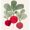 Organic Veg III