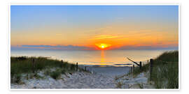 Path through the dunes, Baltic Sea Path through the dunes, Baltic Sea
