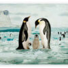 Penguins Hand in Hand