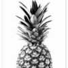 Pineappowl