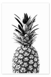 Pineappowl Pineappowl