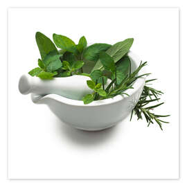 Plant Bath I