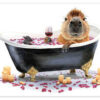 Sheep in the Tub