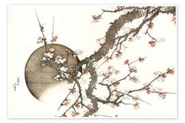 Sleeping owl full moon Sleeping owl full moon