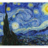 Starry Night Over the Rhône
