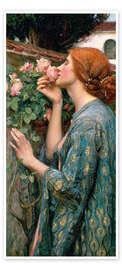 The Soul of the Rose