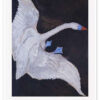 The Swan