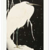 The Swan