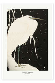 The Swan