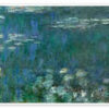 Water Lilies