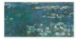 Water Lilies